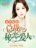 總裁的祕戀愛人