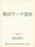 等待下一個流年