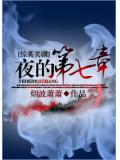 綜英美劇夜的第七章